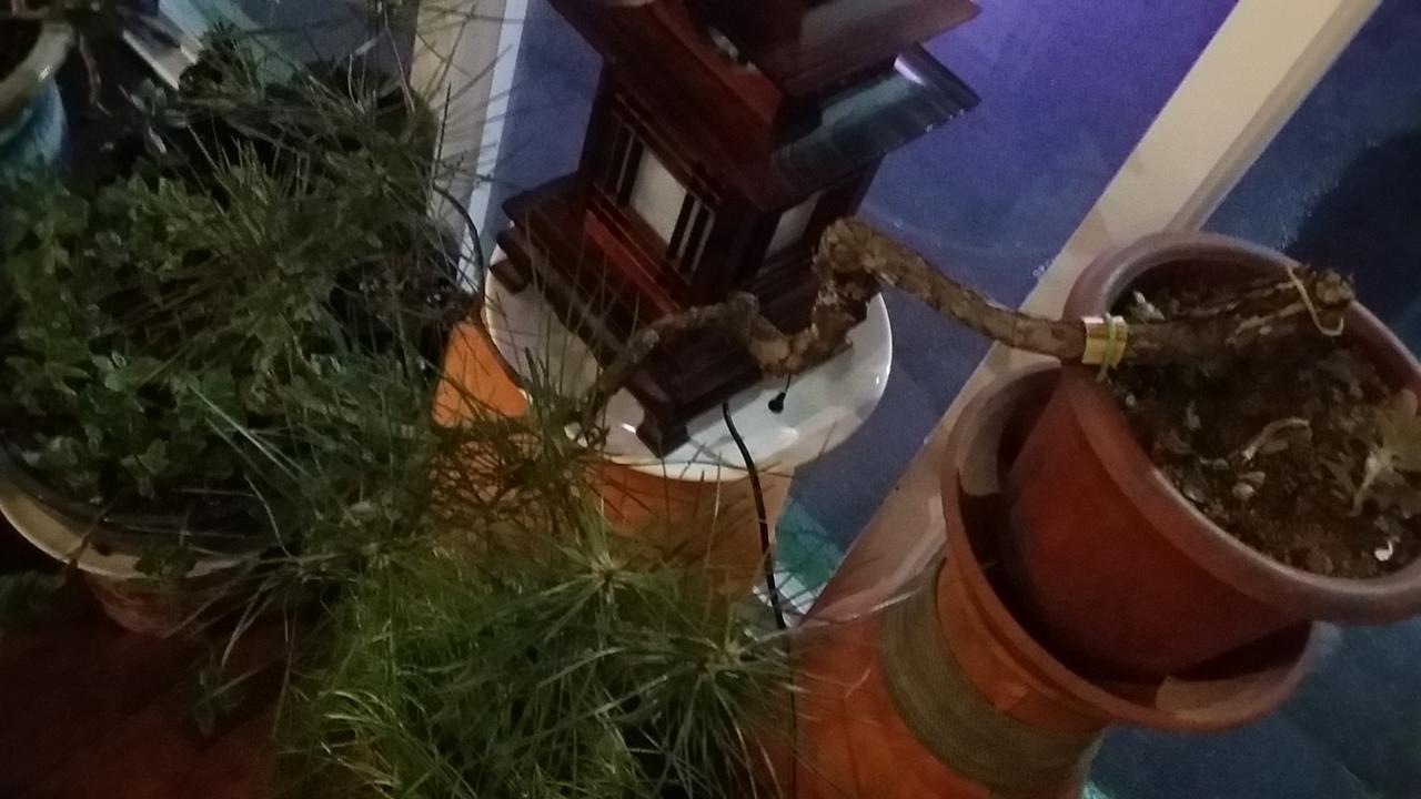 מוקפו Ekonomy Hotel מראה חיצוני תמונה